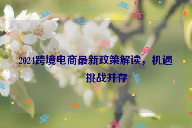 2024跨境電商最新政策解讀，機遇與挑戰(zhàn)并存