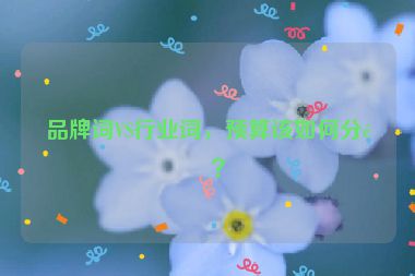品牌詞VS行業(yè)詞，預算該如何分配？