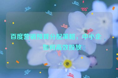 百度營銷預算分配策略，中小企業(yè)如何高效投放