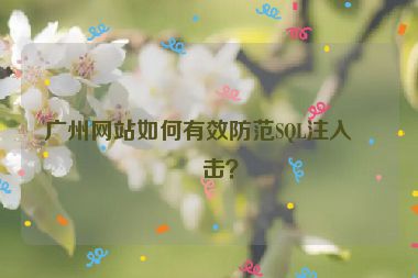 廣州網(wǎng)站如何有效防范SQL注入攻擊？