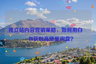 獨立站內(nèi)容營銷策略，如何用白皮書獲取高質(zhì)量詢盤？
