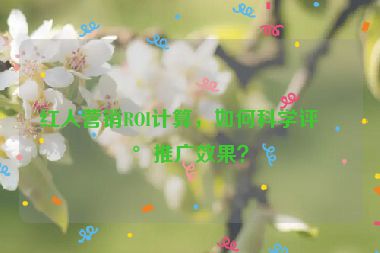 紅人營銷ROI計算，如何科學評估推廣效果？