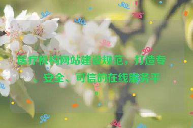醫(yī)療機(jī)構(gòu)網(wǎng)站建設(shè)規(guī)范，打造專(zhuān)業(yè)、安全、可信的在線(xiàn)服務(wù)平臺(tái)