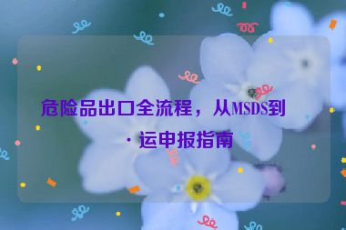 危險品出口全流程，從MSDS到海運申報指南