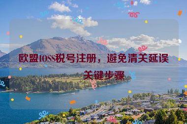 歐盟IOSS稅號注冊，避免清關延誤的關鍵步驟