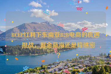 RCEP紅利下東南亞B2B電商的機(jī)遇與挑戰(zhàn)，掘金藍(lán)海還是暗礁密布？