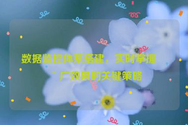 數(shù)據(jù)監(jiān)控體系搭建，實時掌握推廣效果的關(guān)鍵策略