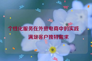 個(gè)性化服務(wù)在外貿(mào)電商中的實(shí)踐，滿足客戶獨(dú)特需求