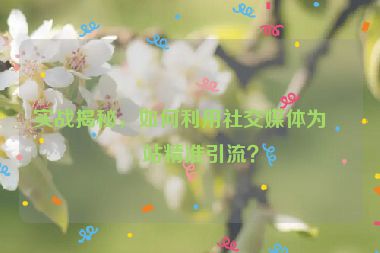 實(shí)戰(zhàn)揭秘，如何利用社交媒體為網(wǎng)站精準(zhǔn)引流？