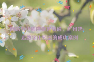 網(wǎng)站與小程序數(shù)據(jù)互通，廣州奶茶店數(shù)字化轉(zhuǎn)型的成功案例