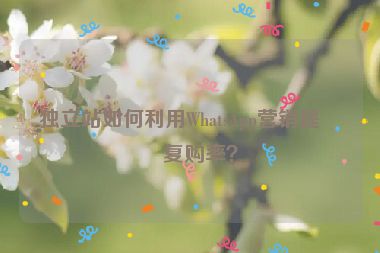 獨(dú)立站如何利用WhatsApp營(yíng)銷(xiāo)提升復(fù)購(gòu)率？