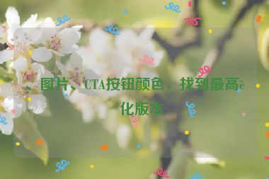 、圖片、CTA按鈕顏色，找到最高轉(zhuǎn)化版本