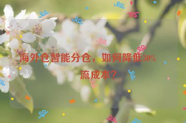 海外倉智能分倉，如何降低30%物流成本？