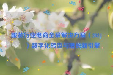 服裝行業(yè)電商全案解決方案（2024版）數(shù)字化轉(zhuǎn)型與增長新引擎
