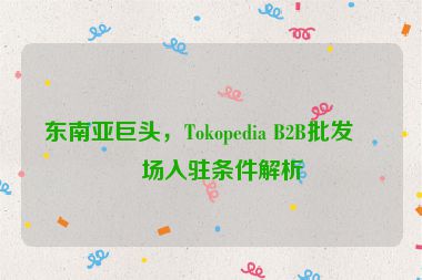 東南亞巨頭，Tokopedia B2B批發(fā)市場(chǎng)入駐條件解析