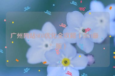 廣州網(wǎng)站SEO優(yōu)化全攻略（2024最新版）