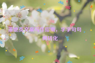 落地頁(yè)文案寫(xiě)作指南，字字句句指向轉(zhuǎn)化