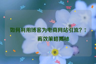 如何利用博客為電商網(wǎng)站引流？7個(gè)高效策略揭秘