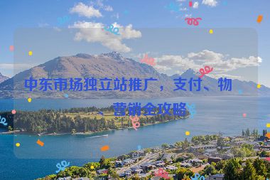 中東市場(chǎng)獨(dú)立站推廣，支付、物流、營(yíng)銷全攻略