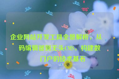 企業(yè)網(wǎng)站開發(fā)工具全景解析，從代碼編輯器到無頭CMS，構建數(shù)字門戶的技術基石