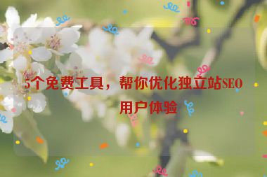5個(gè)免費(fèi)工具，幫你優(yōu)化獨(dú)立站SEO和用戶體驗(yàn)