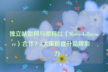 獨立站如何與微網(wǎng)紅（Micro-Influencer）合作？5大策略提升品牌影響力