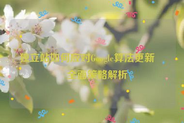 獨立站如何應對Google算法更新？全面策略解析