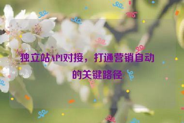 獨(dú)立站API對(duì)接，打通營(yíng)銷自動(dòng)化的關(guān)鍵路徑