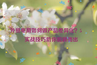 外貿(mào)電商如何做產(chǎn)品差異化？5個(gè)實(shí)戰(zhàn)技巧助你脫穎而出