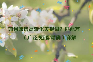 如何篩選高轉(zhuǎn)化關(guān)鍵詞？匹配方式（廣泛/短語/精確）詳解