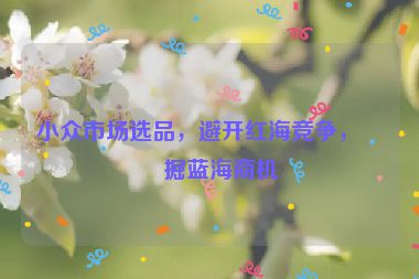 小眾市場選品，避開紅海競爭，挖掘藍海商機