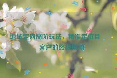 地域定向高階玩法，精準(zhǔn)定位目標(biāo)客戶的終極指南