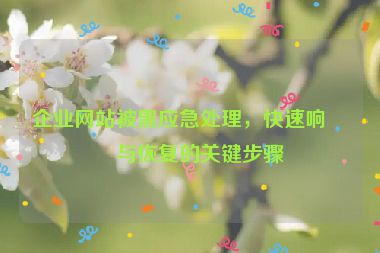 企業(yè)網(wǎng)站被黑應(yīng)急處理，快速響應(yīng)與恢復(fù)的關(guān)鍵步驟