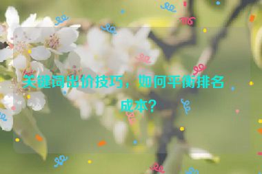 關(guān)鍵詞出價(jià)技巧，如何平衡排名和成本？