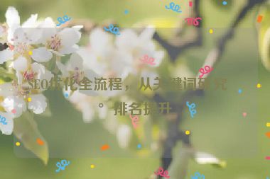 SEO優(yōu)化全流程，從關(guān)鍵詞研究到排名提升