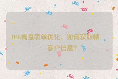B2B詢盤表單優(yōu)化，如何獲取精準(zhǔn)客戶信息？
