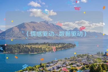 （情感驅(qū)動(dòng)vs.數(shù)據(jù)驅(qū)動(dòng)）