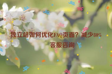 獨(dú)立站如何優(yōu)化FAQ頁面？減少80%的客服咨詢