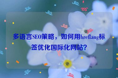 多語言SEO策略，如何用hreflang標簽優(yōu)化國際化網站？