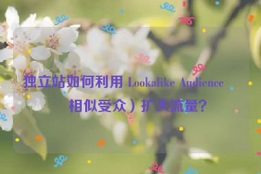 獨(dú)立站如何利用 Lookalike Audience（相似受眾）擴(kuò)大流量？