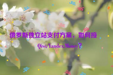 俄羅斯獨(dú)立站支付方案，如何接入Qiwi/Yandex.Money？
