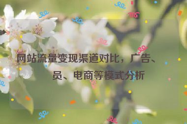 網(wǎng)站流量變現(xiàn)渠道對(duì)比，廣告、會(huì)員、電商等模式分析