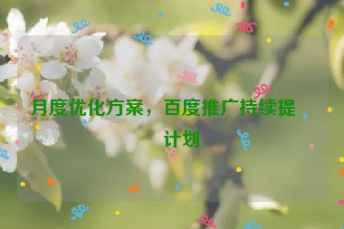 月度優(yōu)化方案，百度推廣持續(xù)提升計(jì)劃