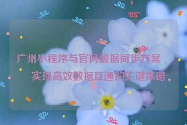 廣州小程序與官網(wǎng)數(shù)據(jù)同步方案，實現(xiàn)高效數(shù)據(jù)互通的關(guān)鍵策略