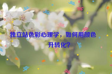 獨(dú)立站色彩心理學(xué)，如何用顏色提升轉(zhuǎn)化？