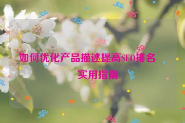 如何優(yōu)化產(chǎn)品描述提高SEO排名，實(shí)用指南