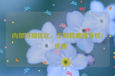 內(nèi)部鏈接優(yōu)化，定期檢查提升權(quán)重傳遞