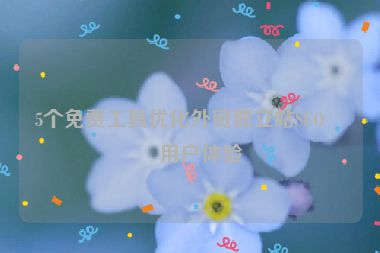 5個免費工具優(yōu)化外貿獨立站SEO和用戶體驗