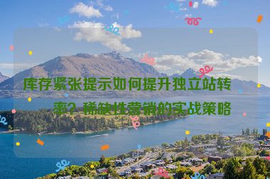 庫存緊張?zhí)崾救绾翁嵘?dú)立站轉(zhuǎn)化率？稀缺性營銷的實(shí)戰(zhàn)策略