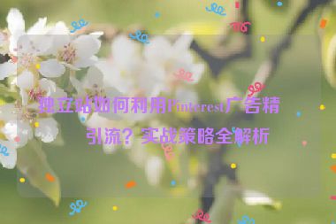 獨立站如何利用Pinterest廣告精準(zhǔn)引流？實戰(zhàn)策略全解析